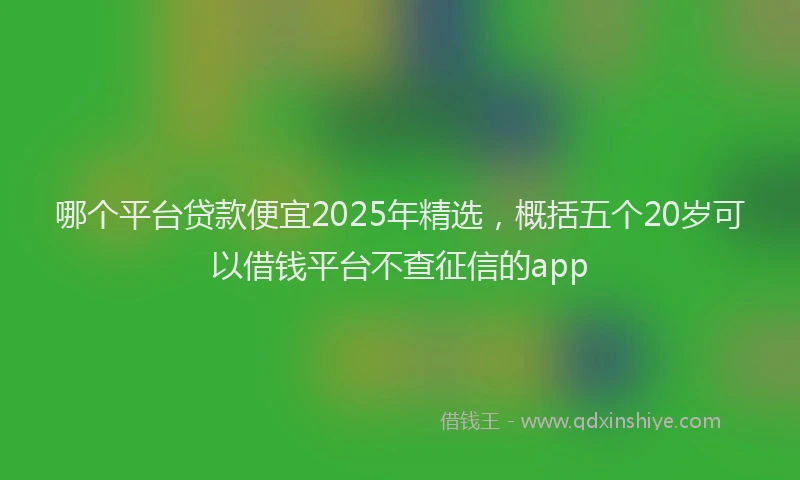 哪个平台贷款便宜2025年精选，概括五个20岁可以借钱平台不查征信的app