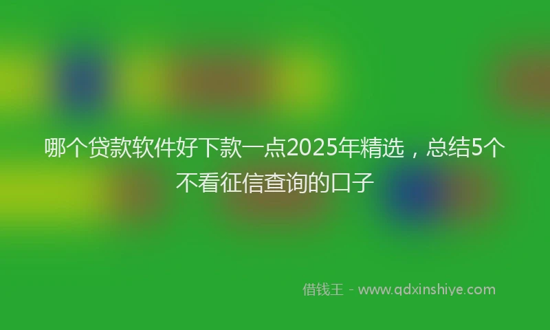 哪个贷款软件好下款一点2025年精选，总结5个不看征信查询的口子