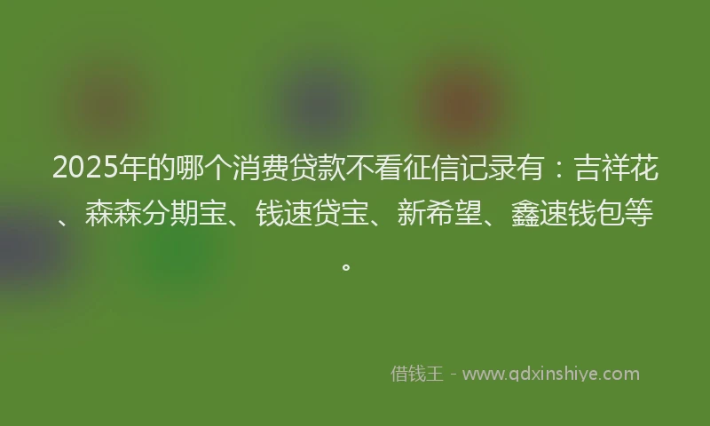 2025年的哪个消费贷款不看征信记录有：吉祥花、森森分期宝、钱速贷宝、新希望、鑫速钱包等。