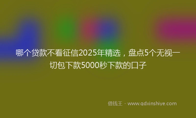 哪个贷款不看征信2025年精选，盘点5个无视一切包下款5000秒下款的口子