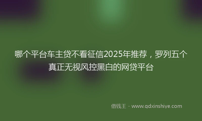 哪个平台车主贷不看征信2025年推荐，罗列五个真正无视风控黑白的网贷平台