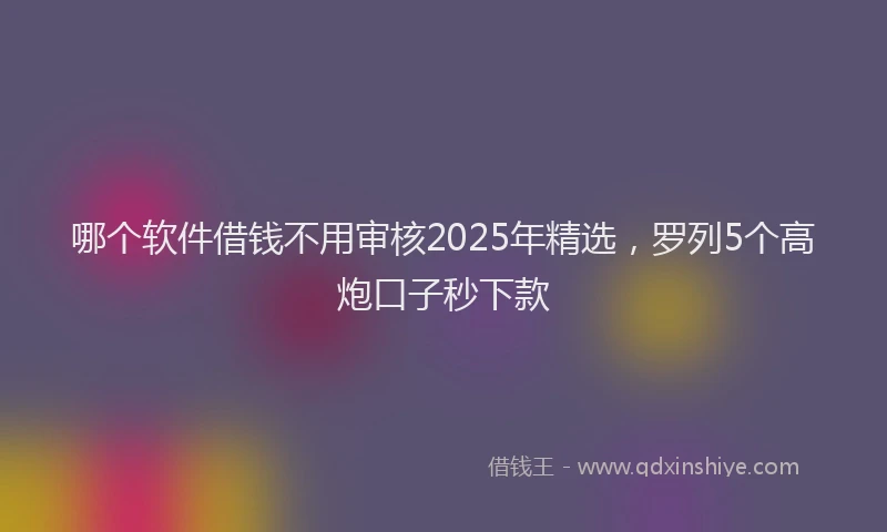 哪个软件借钱不用审核2025年精选，罗列5个高炮口子秒下款