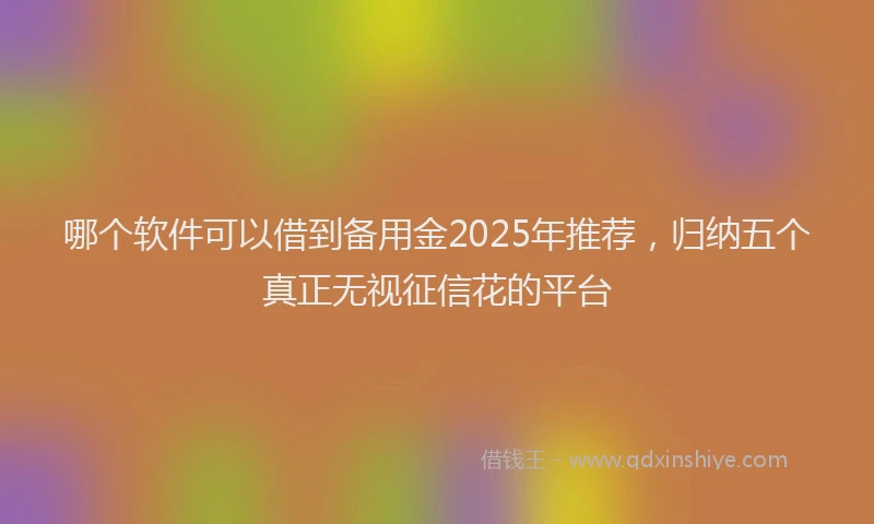 哪个软件可以借到备用金2025年推荐，归纳五个真正无视征信花的平台