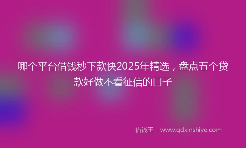 哪个平台借钱秒下款快2025年精选，盘点五个贷款好做不看征信的口子
