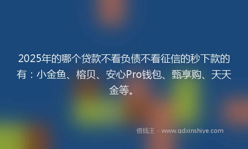 2025年的哪个贷款不看负债不看征信的秒下款的有：小金鱼、榕贝、安心Pro钱包、甄享购、天天金等。
