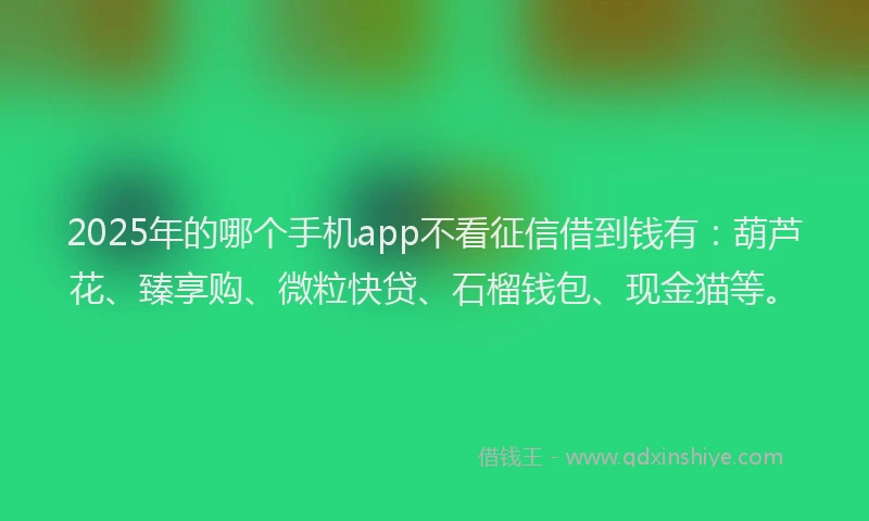 2025年的哪个手机app不看征信借到钱有：葫芦花、臻享购、微粒快贷、石榴钱包、现金猫等。
