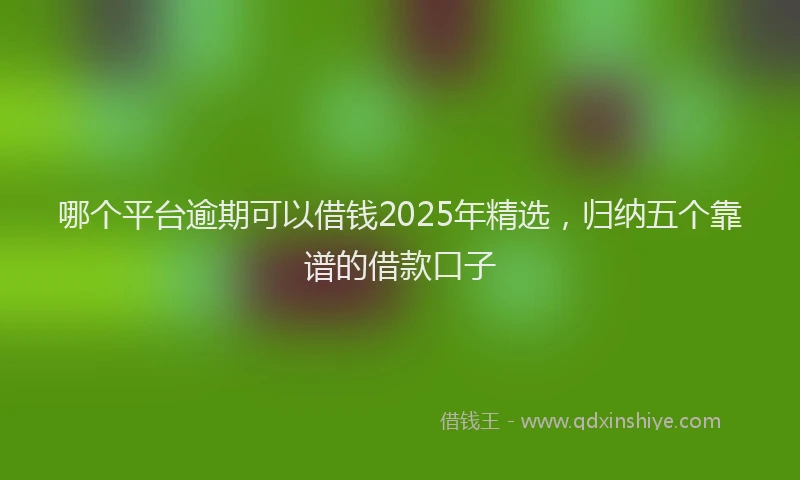 哪个平台逾期可以借钱2025年精选，归纳五个靠谱的借款口子