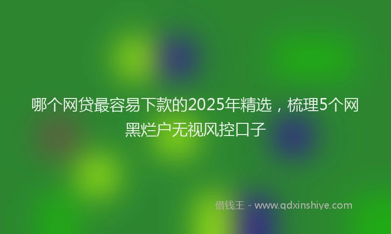 哪个网贷最容易下款的2025年精选，梳理5个网黑烂户无视风控口子