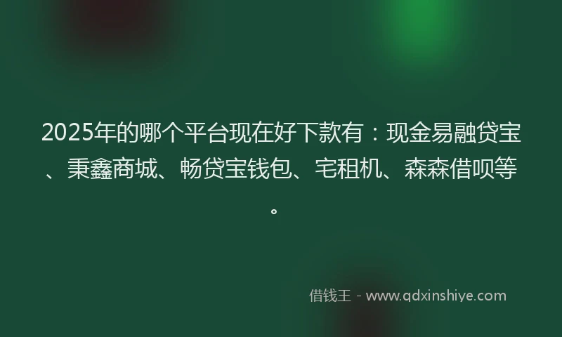 2025年的哪个平台现在好下款有：现金易融贷宝、秉鑫商城、畅贷宝钱包、宅租机、森森借呗等。