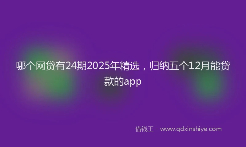 哪个网贷有24期2025年精选，归纳五个12月能贷款的app