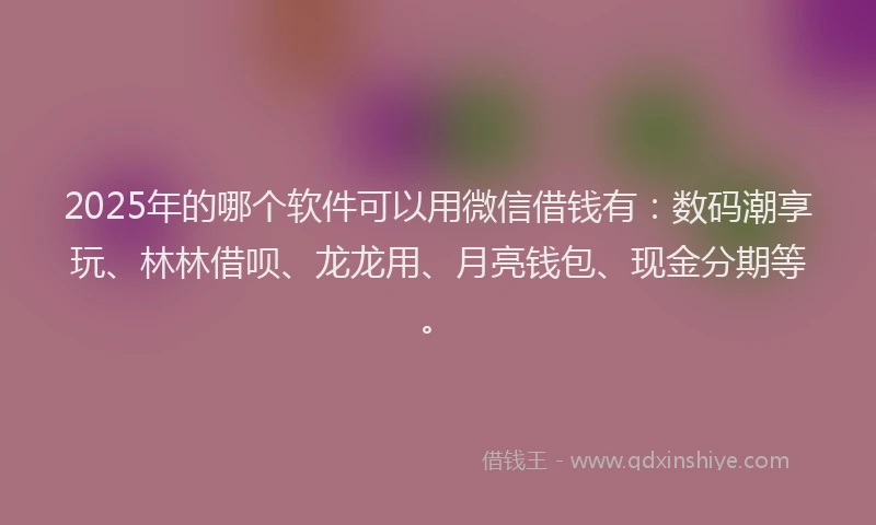 2025年的哪个软件可以用微信借钱有：数码潮享玩、林林借呗、龙龙用、月亮钱包、现金分期等。