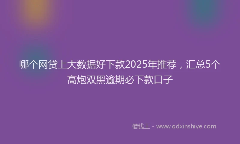 哪个网贷上大数据好下款2025年推荐，汇总5个高炮双黑逾期必下款口子