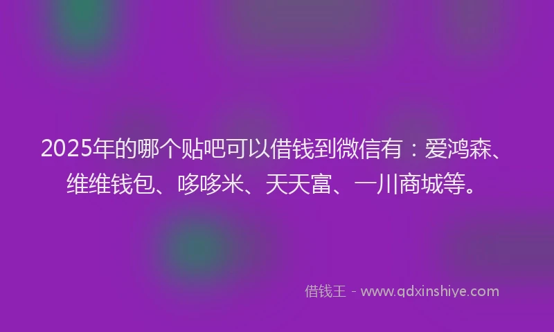 2025年的哪个贴吧可以借钱到微信有:爱鸿森、维维钱包、哆哆米、天天富、一川商城等。