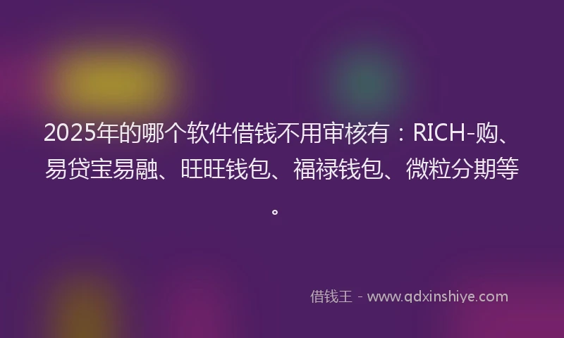 2025年的哪个软件借钱不用审核有：RICH-购、易贷宝易融、旺旺钱包、福禄钱包、微粒分期等。