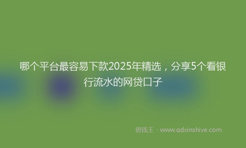 哪个平台最容易下款2025年精选，分享5个看银行流水的网贷口子