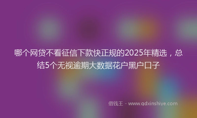 哪个网贷不看征信下款快正规的2025年精选，总结5个无视逾期大数据花户黑户口子