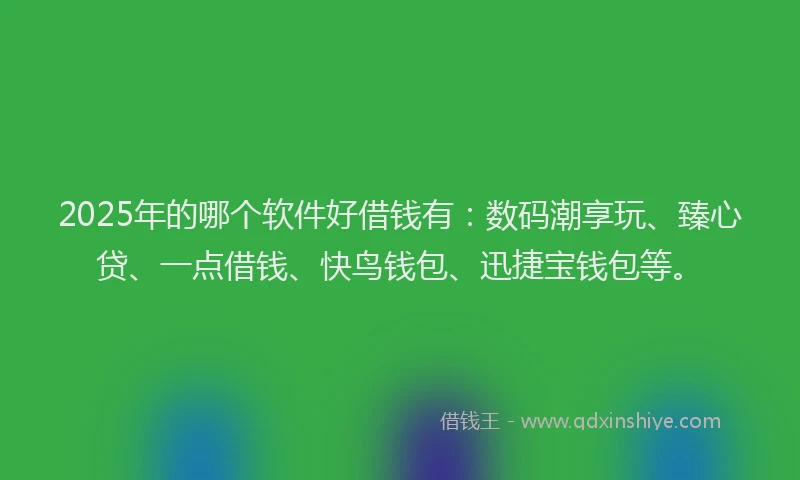 2025年的哪个软件好借钱有：数码潮享玩、臻心贷、一点借钱、快鸟钱包、迅捷宝钱包等。