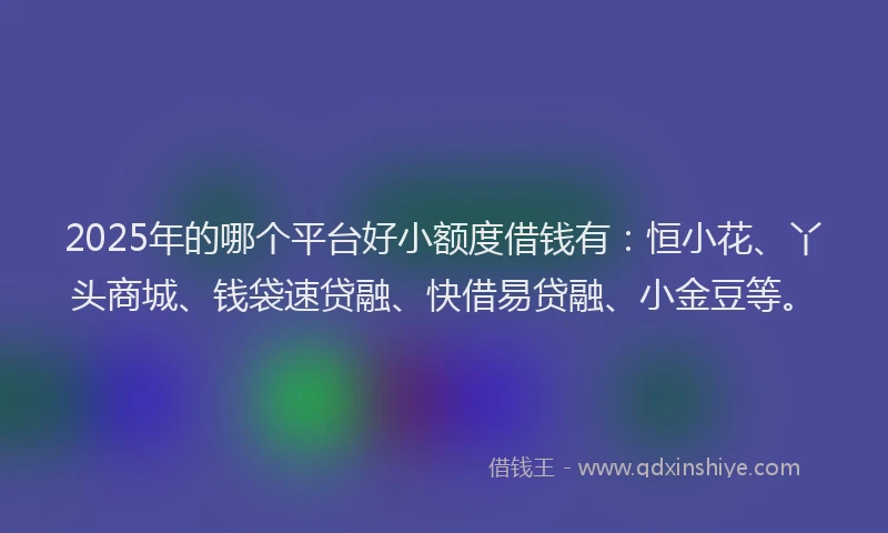 2025年的哪个平台好小额度借钱有：恒小花、丫头商城、钱袋速贷融、快借易贷融、小金豆等。