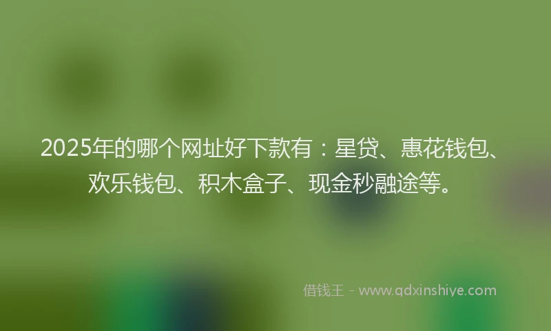 2025年的哪个网址好下款有：星贷、惠花钱包、欢乐钱包、积木盒子、现金秒融途等。