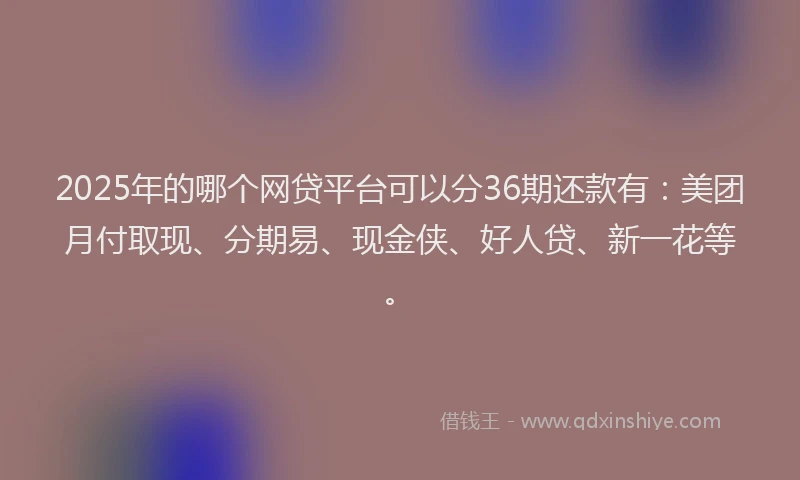 2025年的哪个网贷平台可以分36期还款有：美团月付取现、分期易、现金侠、好人贷、新一花等。