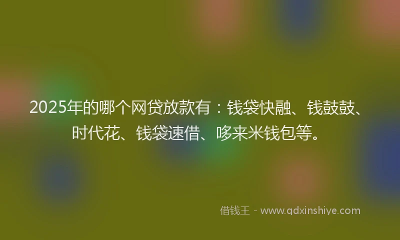 2025年的哪个网贷放款有：钱袋快融、钱鼓鼓、时代花、钱袋速借、哆来米钱包等。