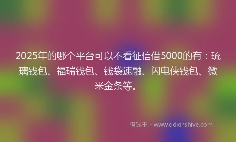 2025年的哪个平台可以不看征信借5000的有：琉璃钱包、福瑞钱包、钱袋速融、闪电侠钱包、微米金条等。
