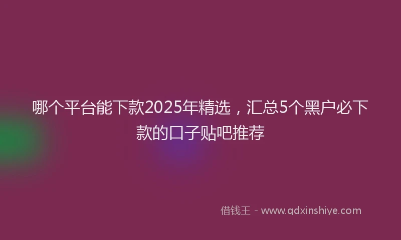 哪个平台能下款2025年精选，汇总5个黑户必下款的口子贴吧推荐
