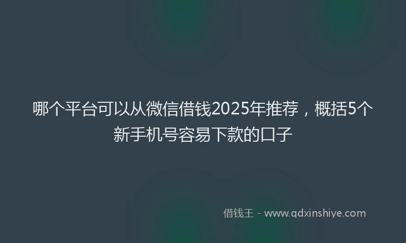 哪个平台可以从微信借钱2025年推荐，概括5个新手机号容易下款的口子