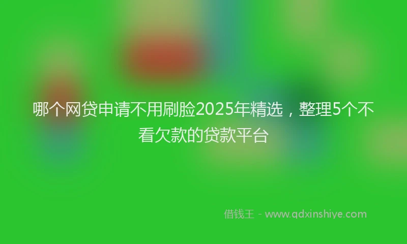 哪个网贷申请不用刷脸2025年精选，整理5个不看欠款的贷款平台