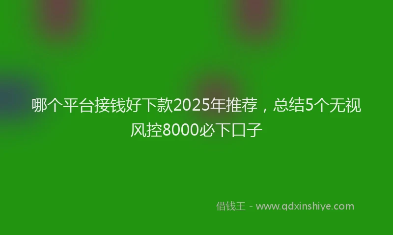 哪个平台接钱好下款2025年推荐,总结5个无视风控8000必下口子