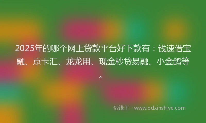 2025年的哪个网上贷款平台好下款有：钱速借宝融、京卡汇、龙龙用、现金秒贷易融、小金鸽等。