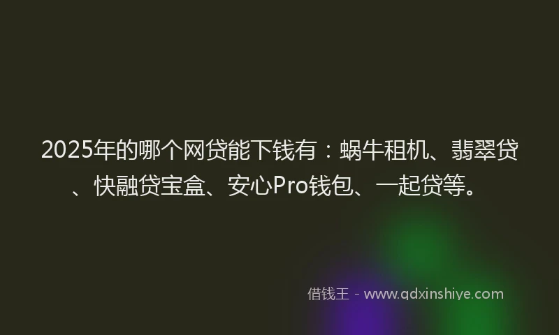 2025年的哪个网贷能下钱有：蜗牛租机、翡翠贷、快融贷宝盒、安心Pro钱包、一起贷等。