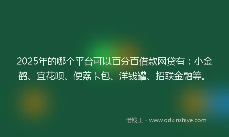 2025年的哪个平台可以百分百借款网贷有：小金鹤、宜花呗、便荔卡包、洋钱罐、招联金融等。