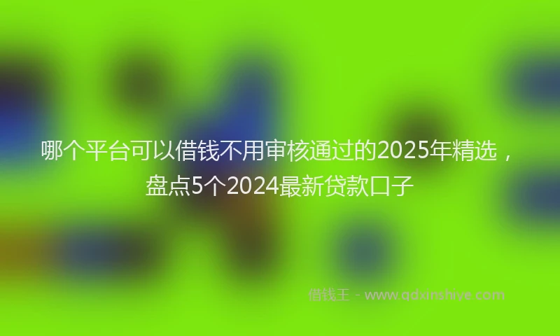哪个平台可以借钱不用审核通过的2025年精选，盘点5个2024最新贷款口子