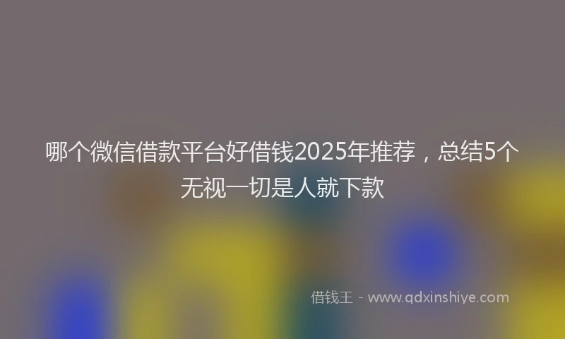 哪个微信借款平台好借钱2025年推荐,总结5个无视一切是人就下款