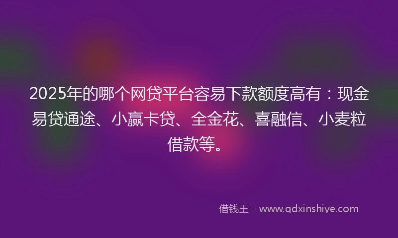 2025年的哪个网贷平台容易下款额度高有：现金易贷通途、小赢卡贷、全金花、喜融信、小麦粒借款等。
