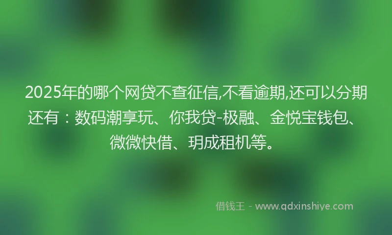 2025年的哪个网贷不查征信,不看逾期,还可以分期还有：数码潮享玩、你我贷-极融、金悦宝钱包、微微快借、玥成租机等。