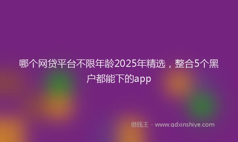 哪个网贷平台不限年龄2025年精选，整合5个黑户都能下的app
