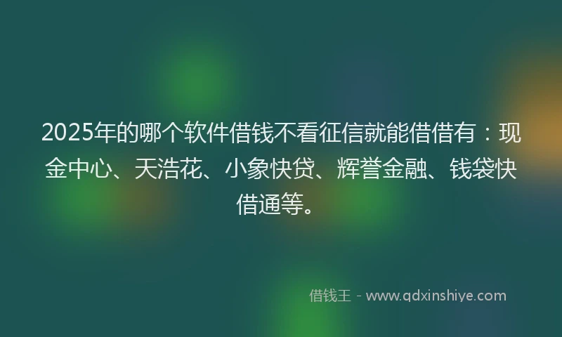 2025年的哪个软件借钱不看征信就能借借有：现金中心、天浩花、小象快贷、辉誉金融、钱袋快借通等。