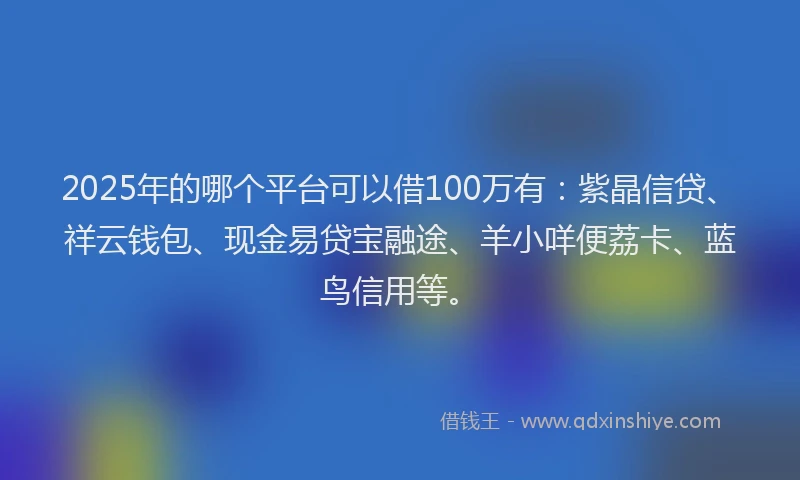 2025年的哪个平台可以借100万有：紫晶信贷、祥云钱包、现金易贷宝融途、羊小咩便荔卡、蓝鸟信用等。