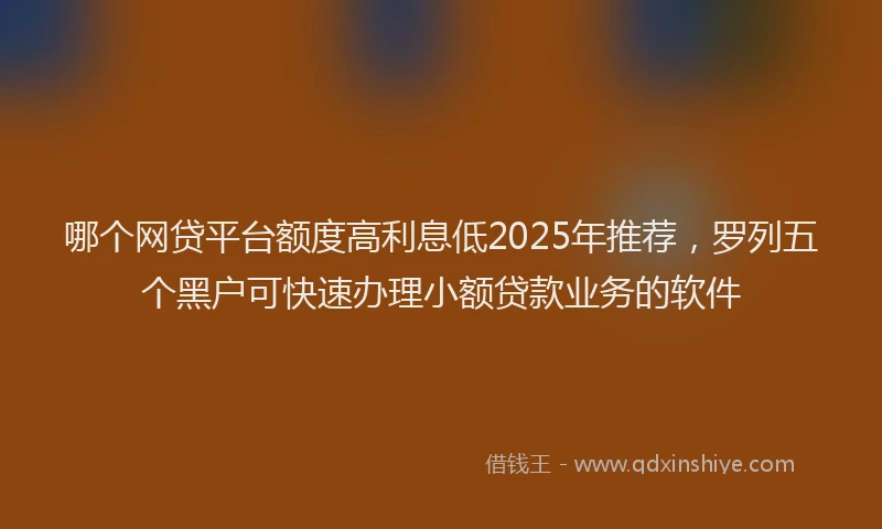 哪个网贷平台额度高利息低2025年推荐，罗列五个黑户可快速办理小额贷款业务的软件
