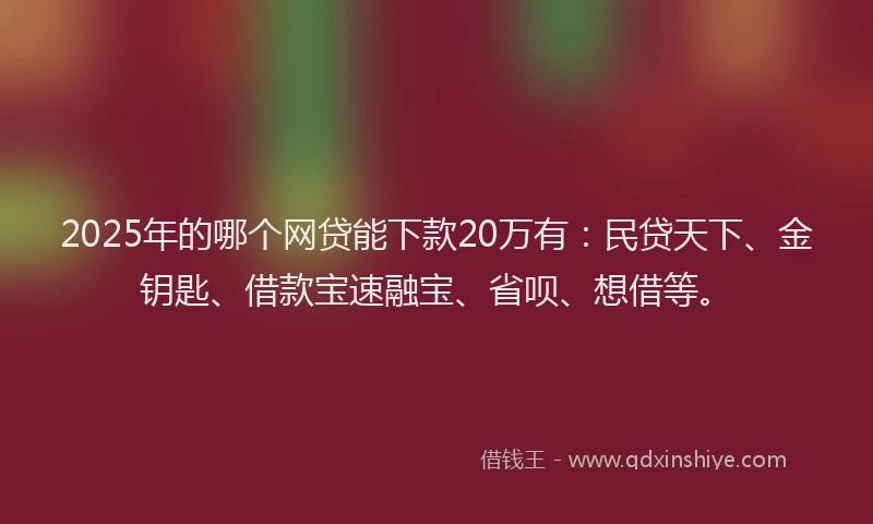 2025年的哪个网贷能下款20万有：民贷天下、金钥匙、借款宝速融宝、省呗、想借等。