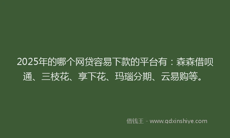 2025年的哪个网贷容易下款的平台有：森森借呗通、三枝花、享下花、玛瑙分期、云易购等。