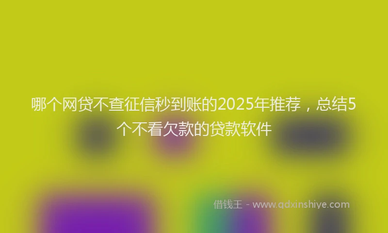哪个网贷不查征信秒到账的2025年推荐，总结5个不看欠款的贷款软件