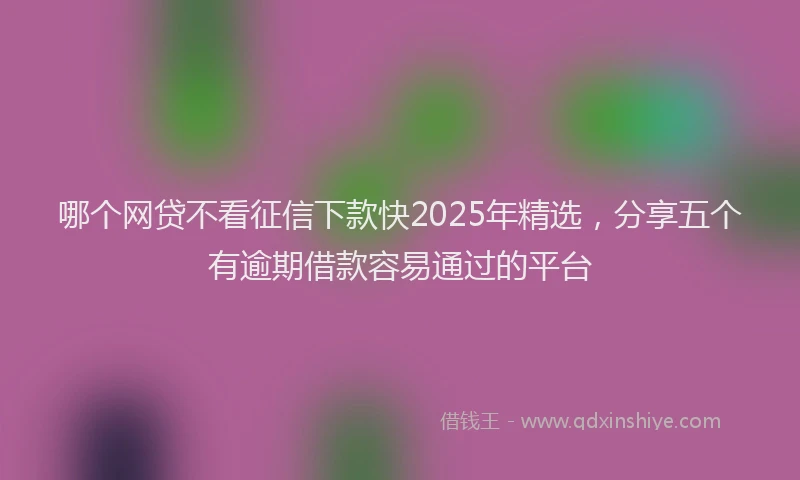 哪个网贷不看征信下款快2025年精选，分享五个有逾期借款容易通过的平台