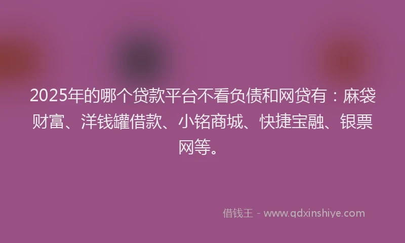 2025年的哪个贷款平台不看负债和网贷有：麻袋财富、洋钱罐借款、小铭商城、快捷宝融、银票网等。