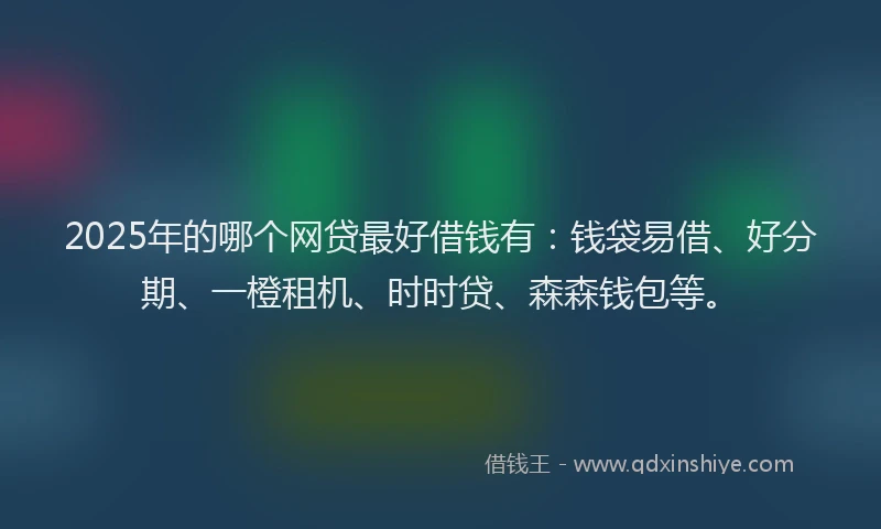 2025年的哪个网贷最好借钱有：钱袋易借、好分期、一橙租机、时时贷、森森钱包等。
