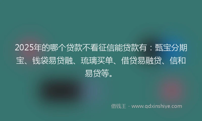 2025年的哪个贷款不看征信能贷款有：甄宝分期宝、钱袋易贷融、琉璃买单、借贷易融贷、信和易贷等。
