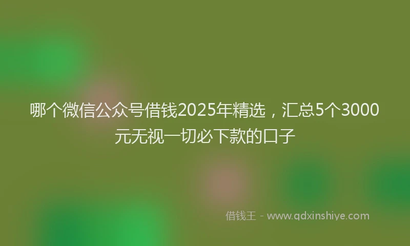 哪个微信公众号借钱2025年精选，汇总5个3000元无视一切必下款的口子