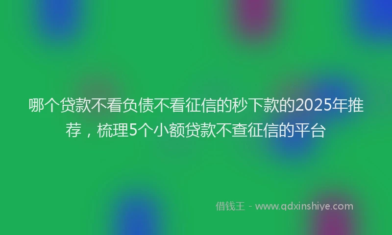 哪个贷款不看负债不看征信的秒下款的2025年推荐，梳理5个小额贷款不查征信的平台
